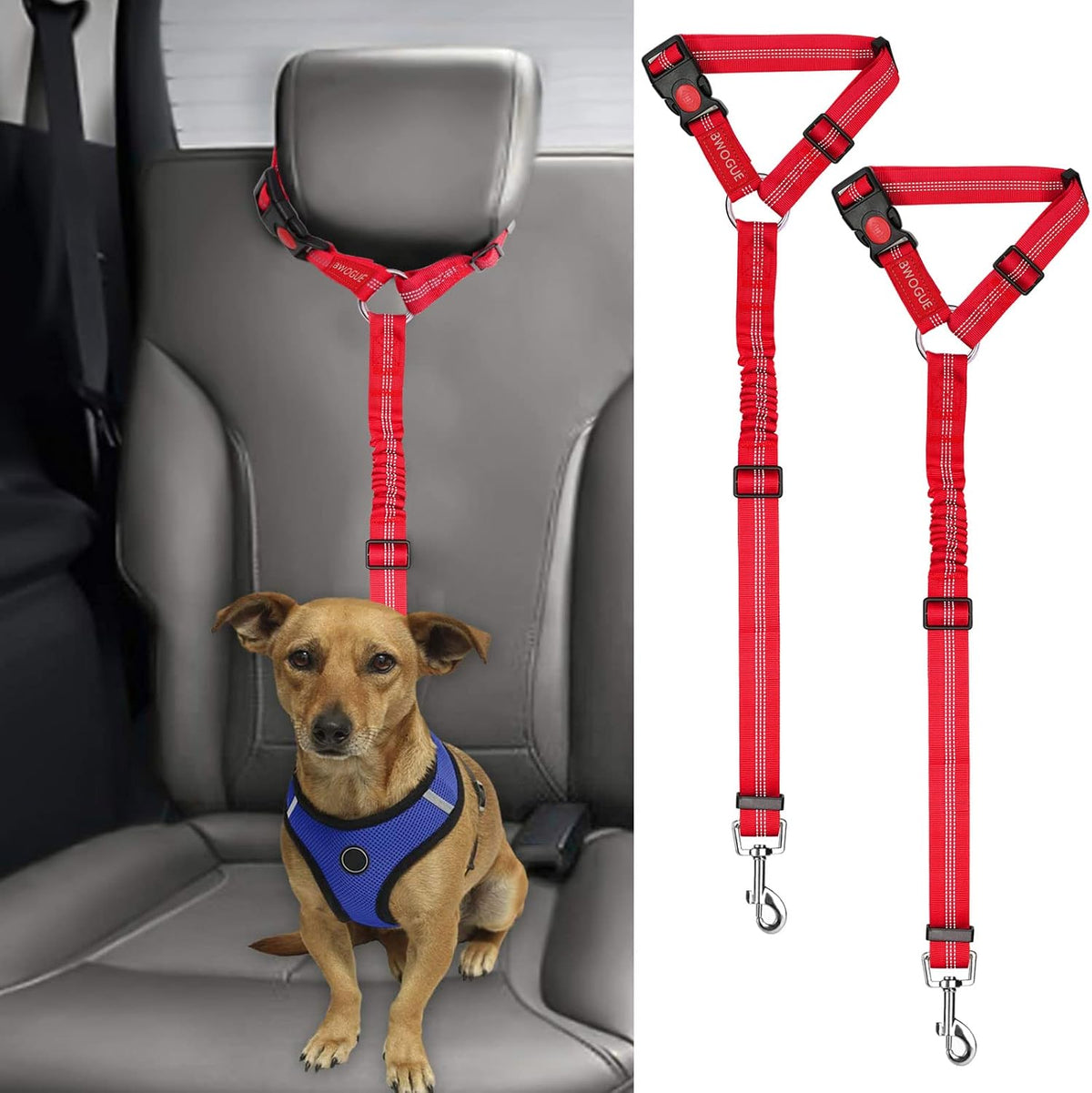 Petopolis RoadSafe™ 2-Pack Bungee Dog Seat Belts