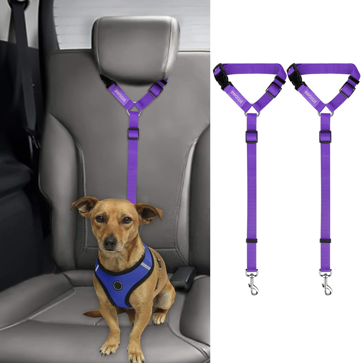 Petopolis RoadSafe™ 2-Pack Bungee Dog Seat Belts