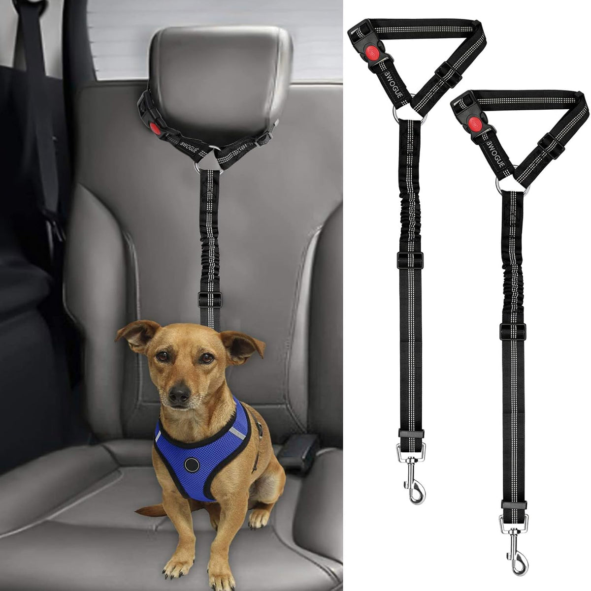 Petopolis RoadSafe™ 2-Pack Bungee Dog Seat Belts