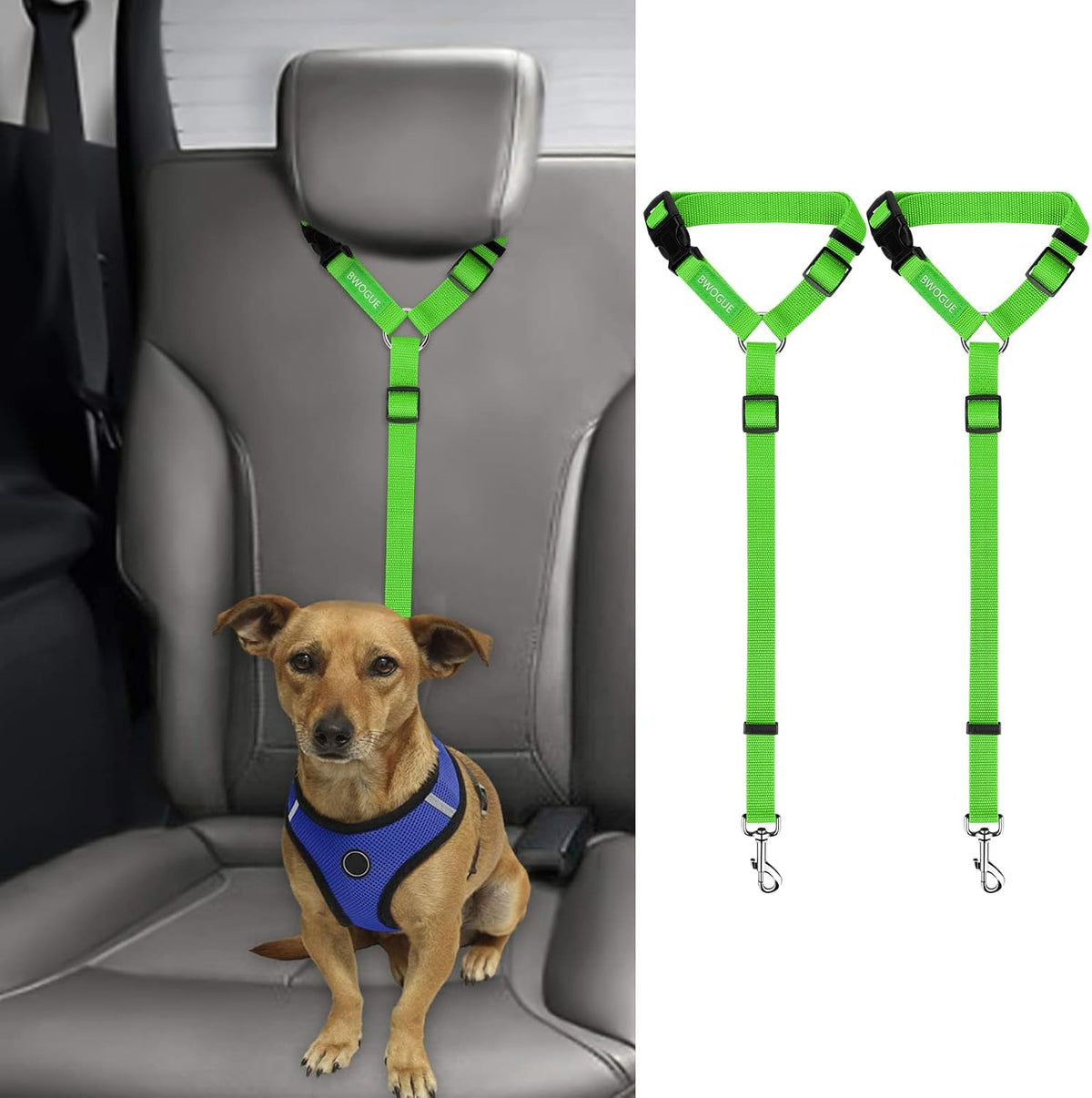 Petopolis RoadSafe™ 2-Pack Bungee Dog Seat Belts