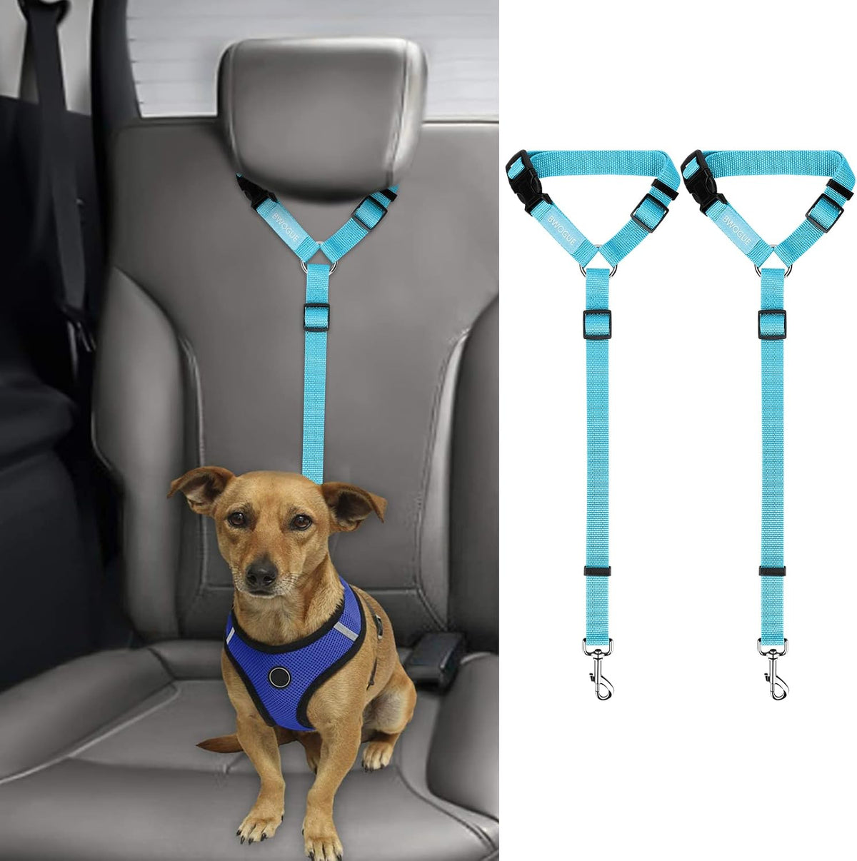 Petopolis RoadSafe™ 2-Pack Bungee Dog Seat Belts