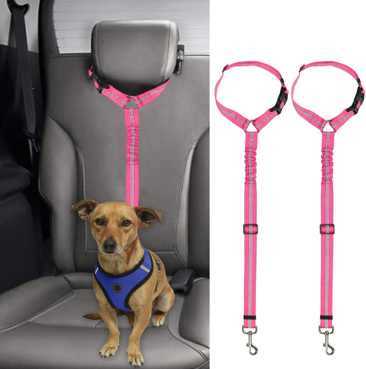 Petopolis RoadSafe™ 2-Pack Bungee Dog Seat Belts