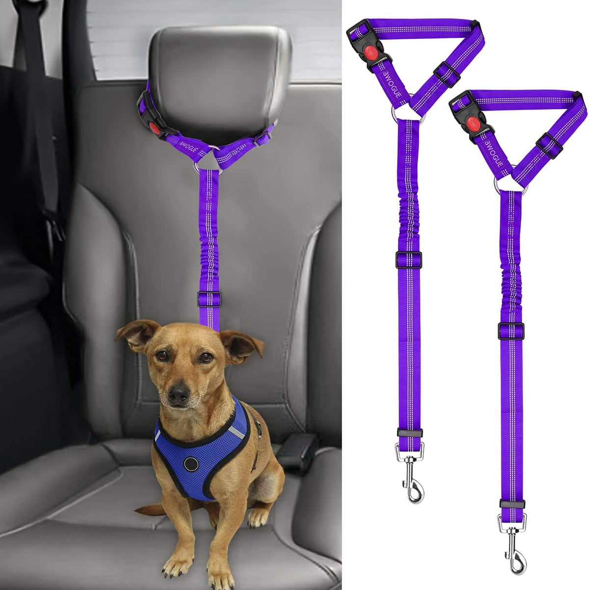 Petopolis RoadSafe™ 2-Pack Bungee Dog Seat Belts