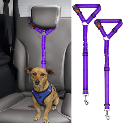 Petopolis RoadSafe™ 2-Pack Bungee Dog Seat Belts
