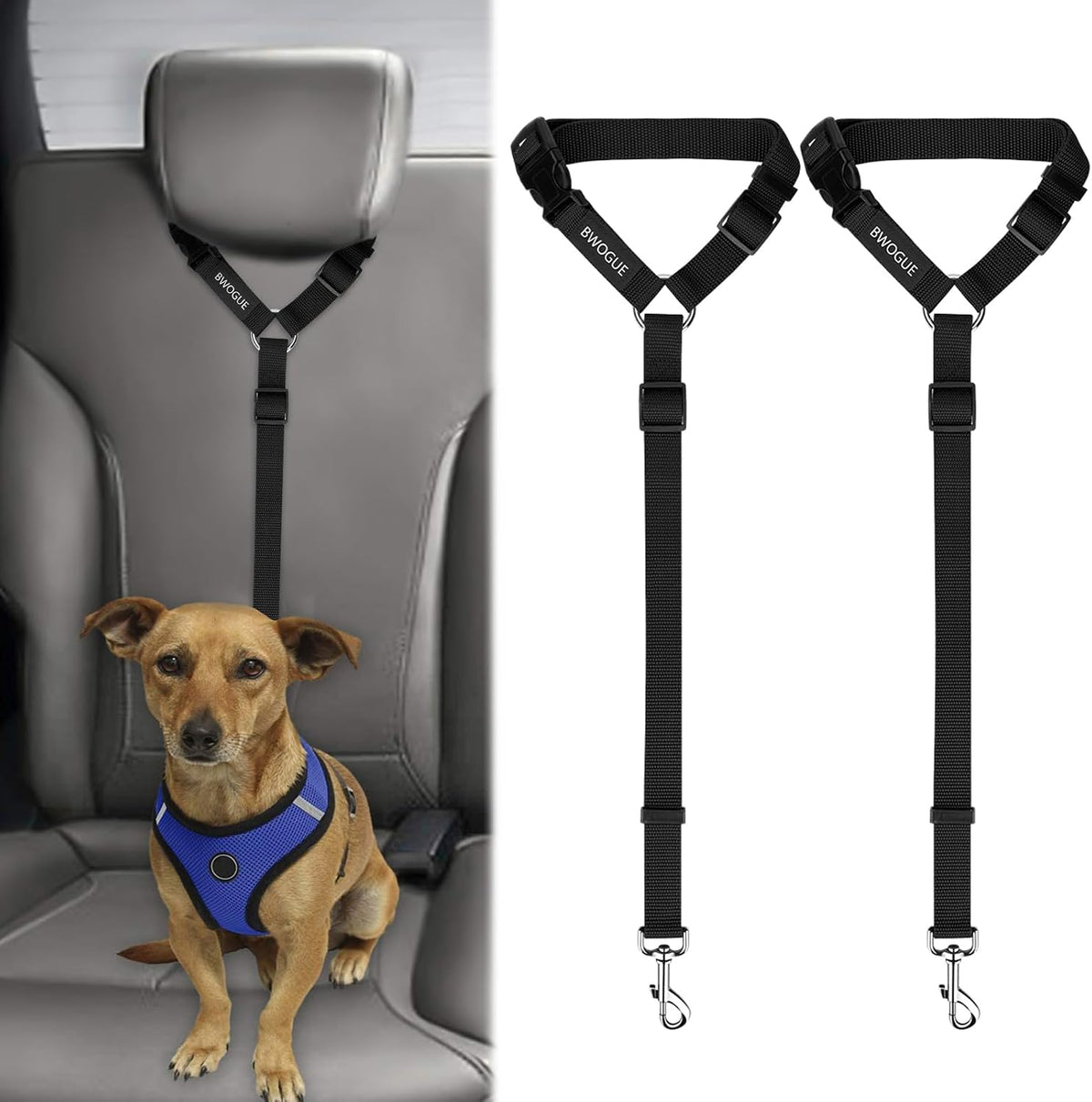 Petopolis RoadSafe™ 2-Pack Bungee Dog Seat Belts