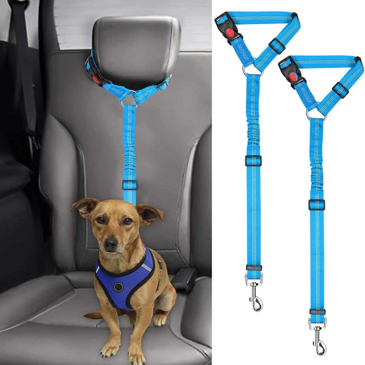 Petopolis RoadSafe™ 2-Pack Bungee Dog Seat Belts