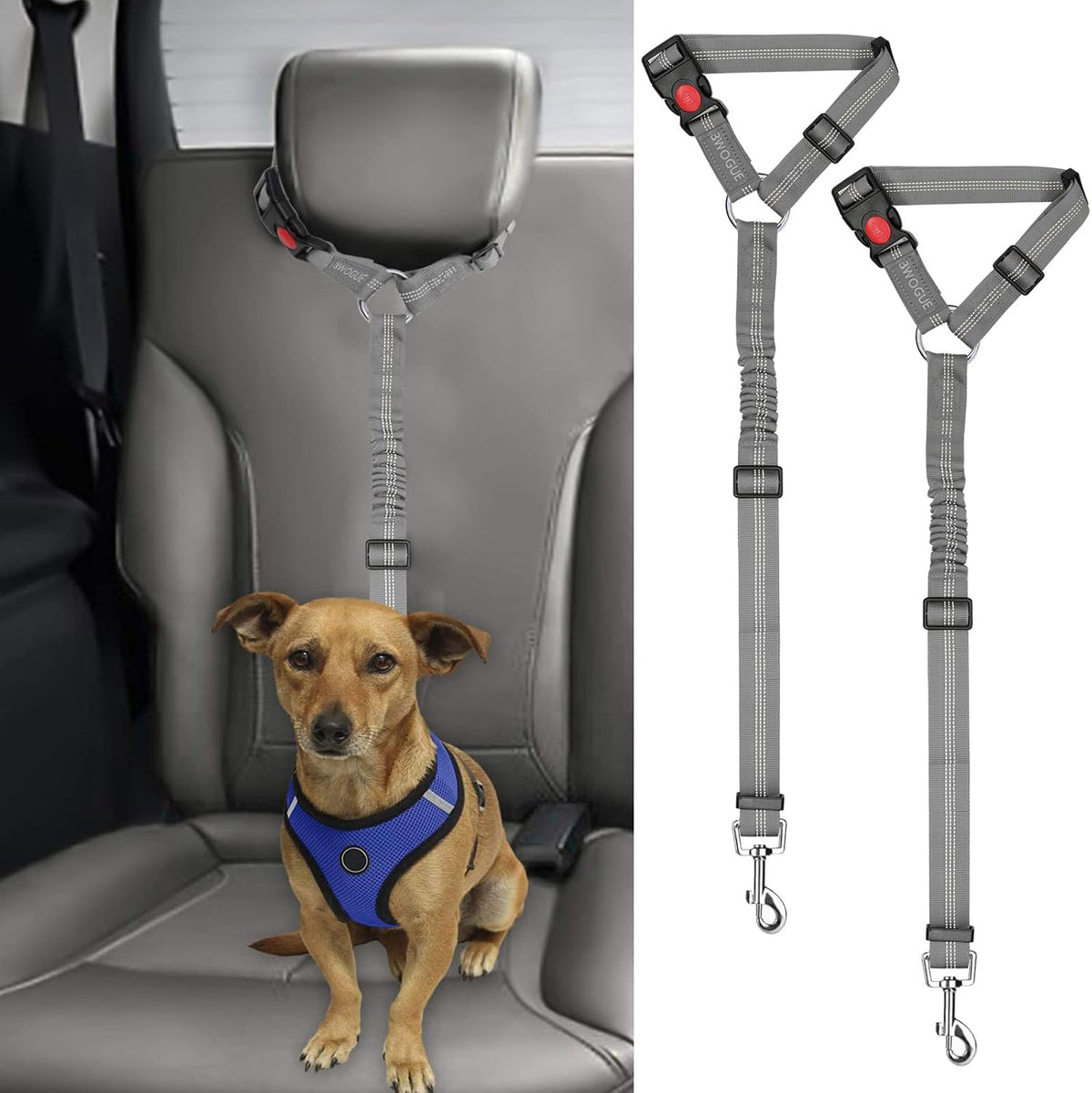 Petopolis RoadSafe™ 2-Pack Bungee Dog Seat Belts