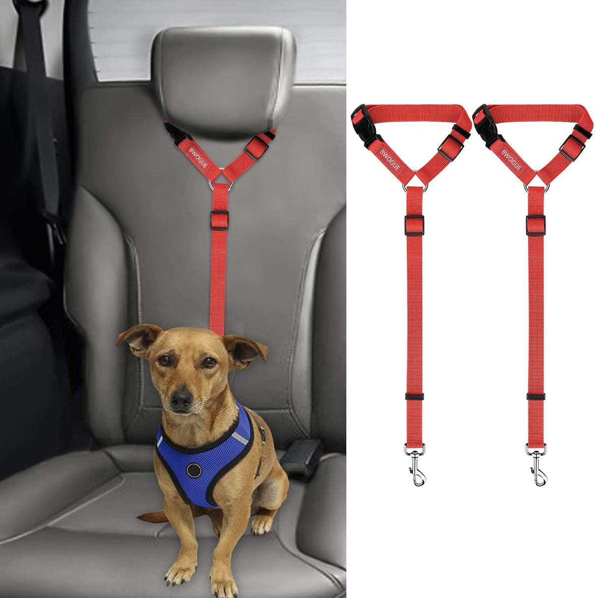 Petopolis RoadSafe™ 2-Pack Bungee Dog Seat Belts