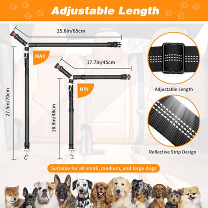 Petopolis RoadSafe™ 2-Pack Bungee Dog Seat Belts