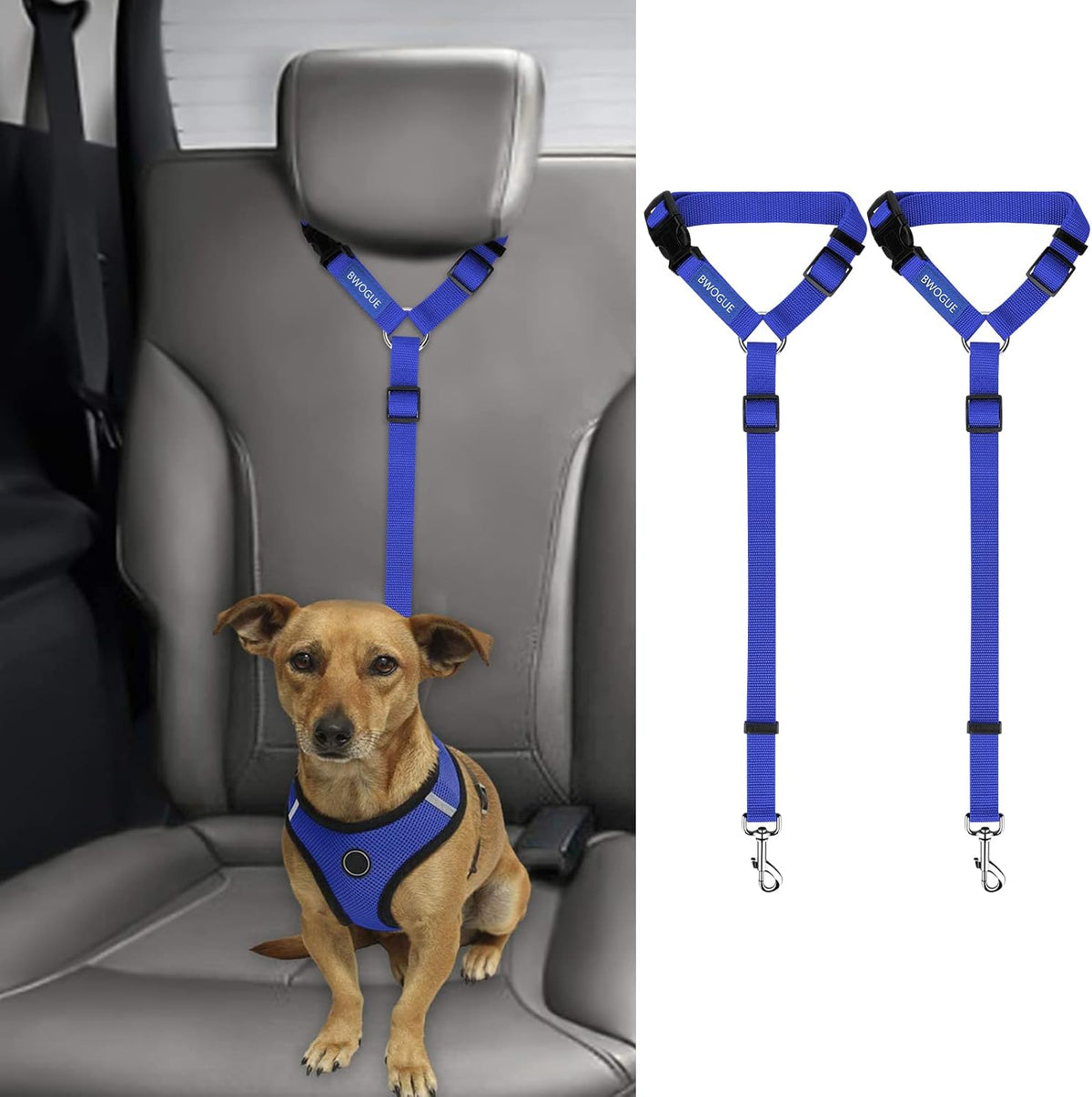 Petopolis RoadSafe™ 2-Pack Bungee Dog Seat Belts
