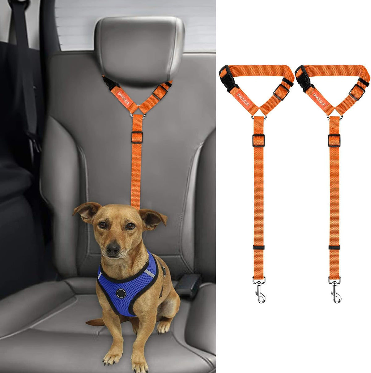 Petopolis RoadSafe™ 2-Pack Bungee Dog Seat Belts