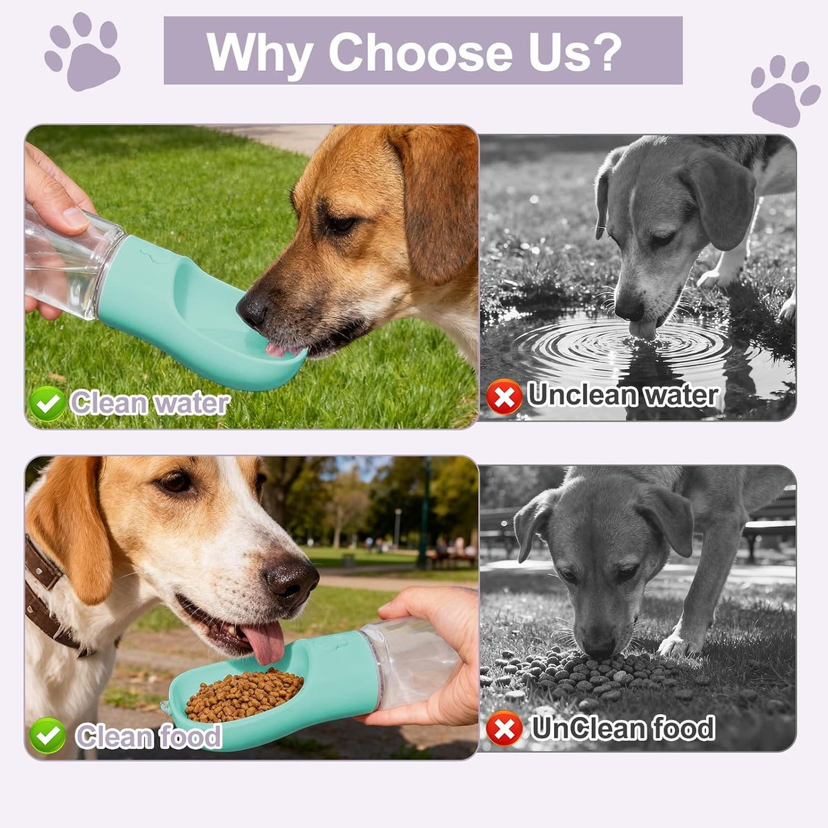 Portable Dog Water Bottle with Integrated Food Container for Travel