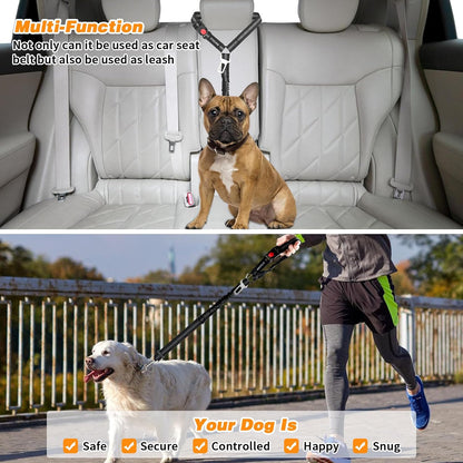 Petopolis RoadSafe™ 2-Pack Bungee Dog Seat Belts