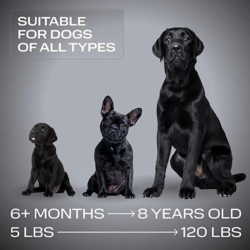 Revolutionary Ultrasonic Dog Bark Control Device - Rechargeable & Humane Training Solution