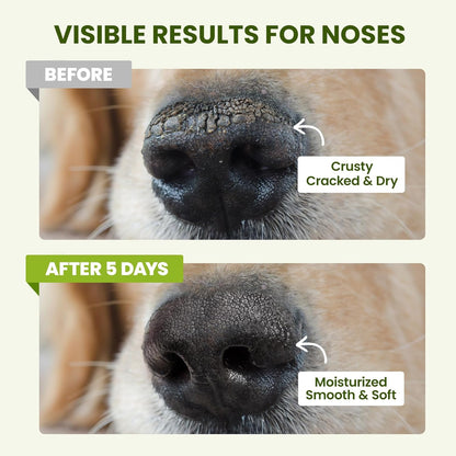 Lick-Safe Dog Paw & Nose Balm with Coconut Oil | Winter Snow, Road Salt & Cold Pavement Protector | All-Natural Moisturizer & Soother for Dry, Cracked Pads & Snout | Horse Hoof, Joint Care